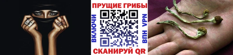Галлюциногенные грибы мухоморы  Вуктыл 